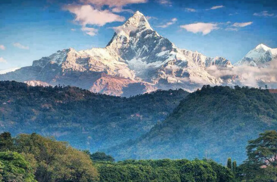 �ɼ�����