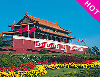 ���ŵ�����������