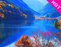 ���ŵ���կ��˫��������